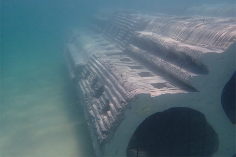 rosenstiel school ecoreef